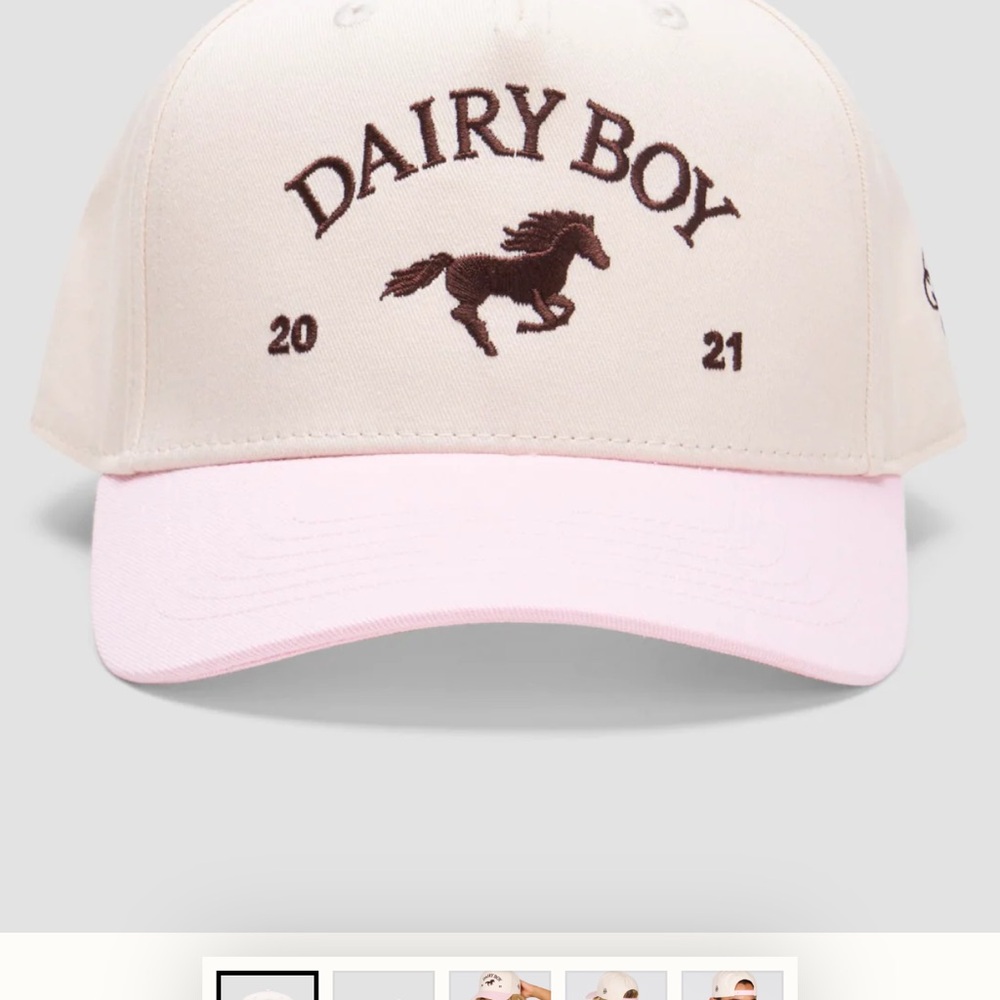 ISO Dairy Boy East Coast Trucker Hat Neapolitan